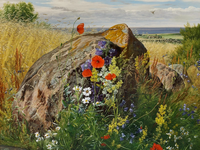 1833-Carl Frederik Aagaard - Fiori selvatici in un campo di grano